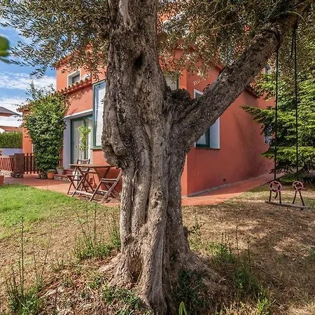 Cozy With Pool In St Pere Pescador Сант-Педро-Пескадор